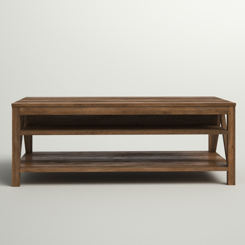 Sand & Stable Emmie Coffee Table with Storage & Reviews Wayfair